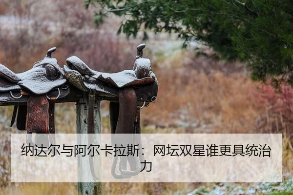 纳达尔与阿尔卡拉斯：网坛双星谁更具统治力